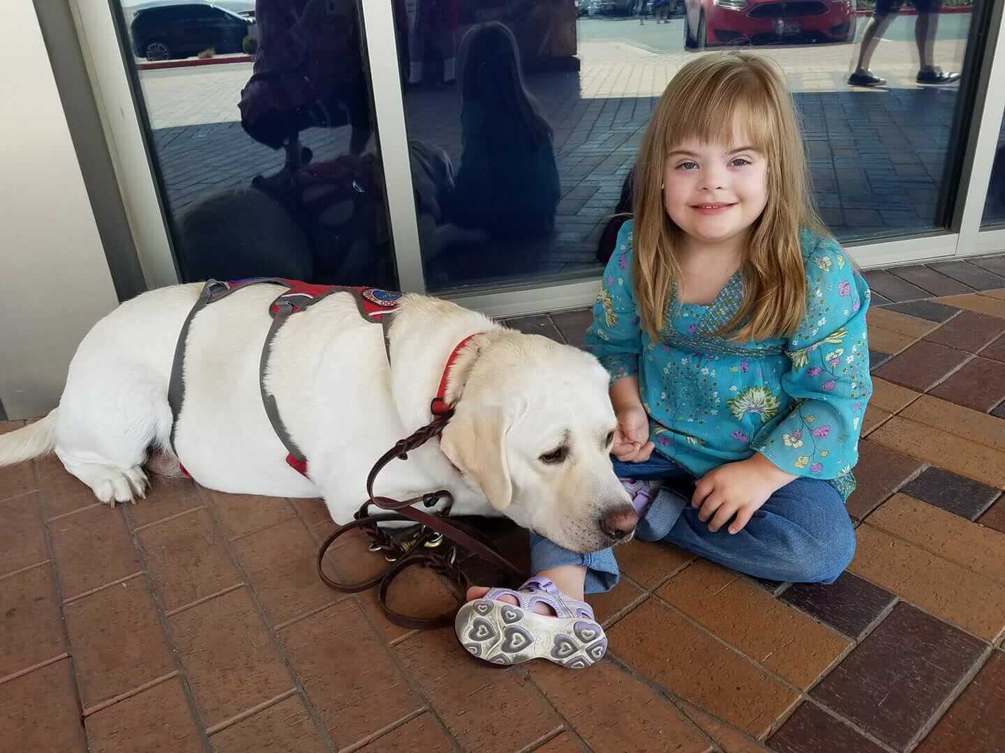 Labrador niespodziewanie przygniótł dziewczynkę a potem uratował jej życie