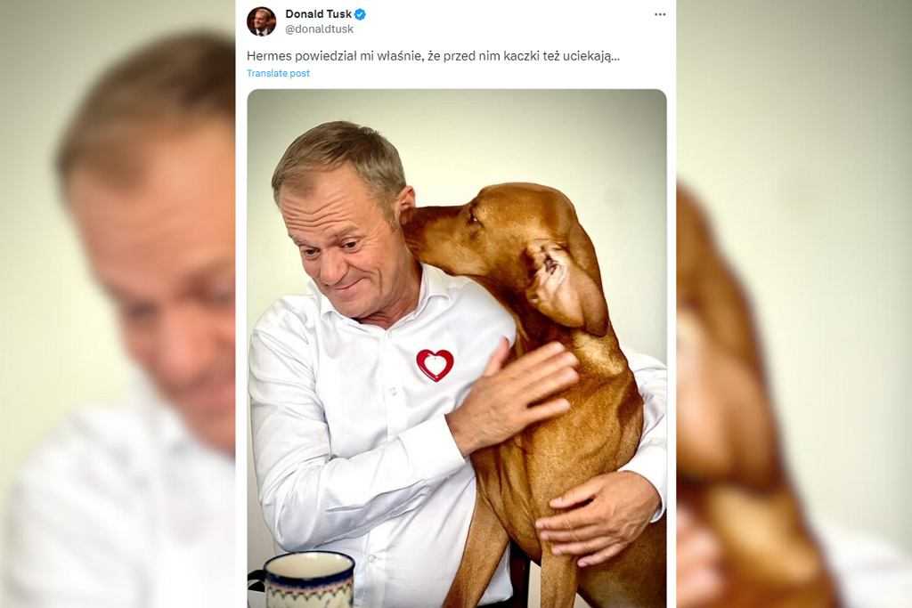 Donald Tusk opublikował zdjęcie z psem i zażartował z Kaczyńskiego.