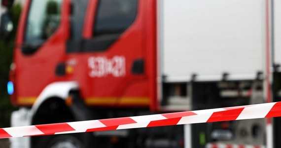 Horror! Strażacy potrącili 8-latka na pasach w Katowicach. Szokujące okoliczności!